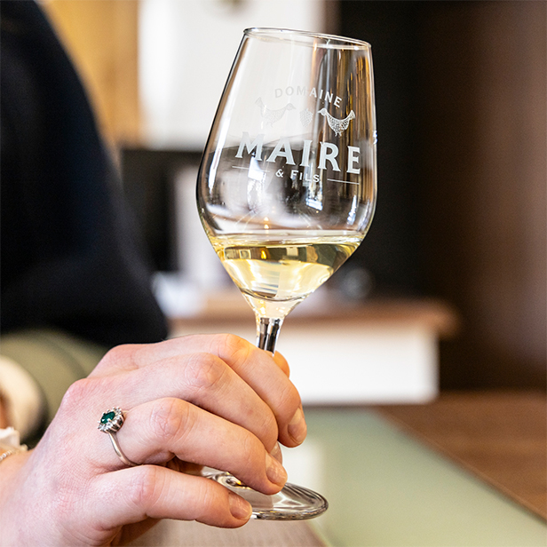 Dégustation Découverte Verre de dégustation avec du vin blanc