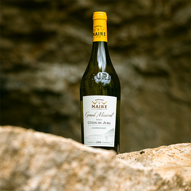 Le Savagnin dans tous ses états Bouteille de Savagnin posé sur un pied de vigne